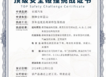 行业首个高架桥坠落挑战成功通关！魏牌全新蓝山实力演绎“顶级安全”