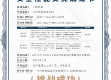 央视见证严苛测试！二代哈弗枭龙MAX动力电池二次征服新高度