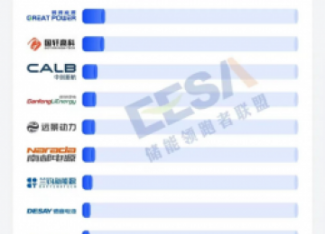 储能、动力齐飞，瑞浦兰钧做对了什么？